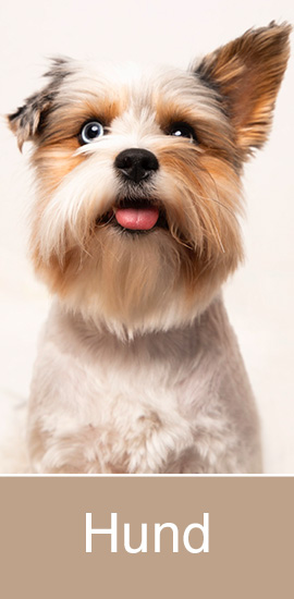 Tierbedarf Hund