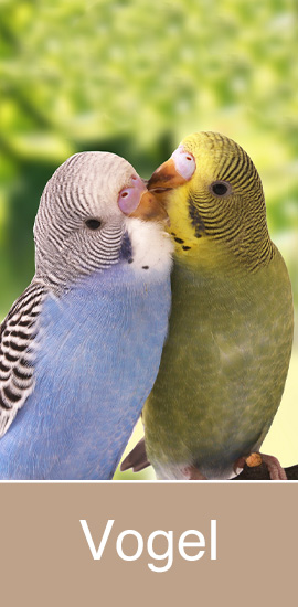 Tierbedarf Vogel