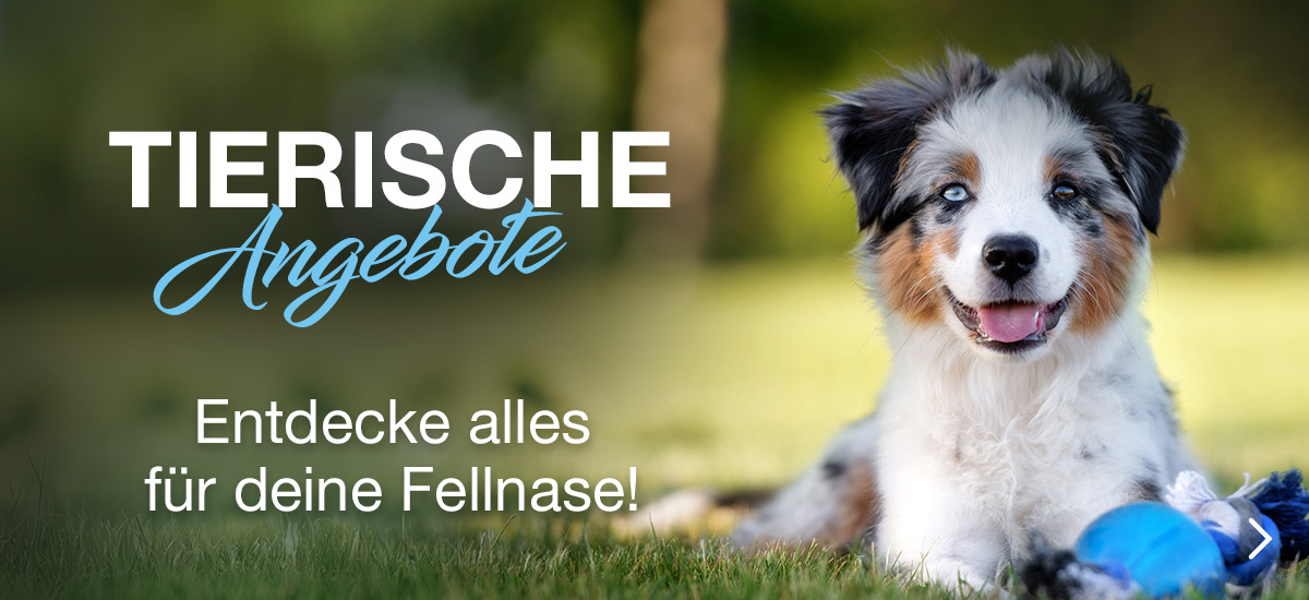 Tierspielzeug