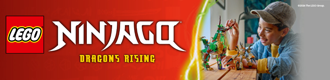 LEGO Ninjago Kat Banner